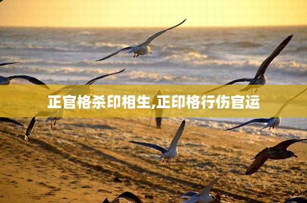 正官格杀印相生,正印格行伤官运