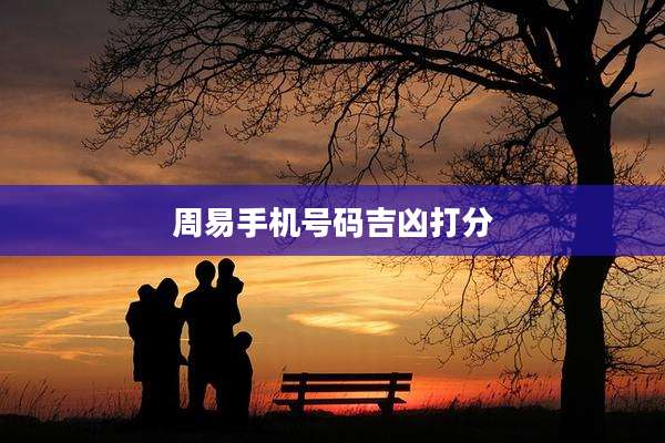 周易手机号码吉凶打分