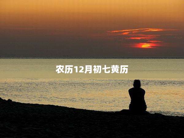 农历12月初七黄历
