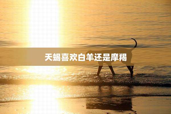 天蝎喜欢白羊还是摩羯