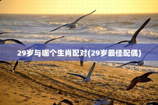 29岁与哪个生肖配对(29岁最佳配偶)
