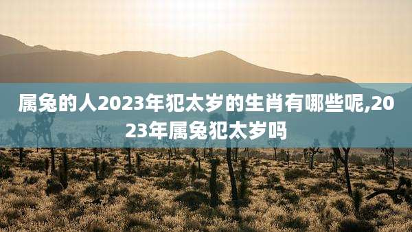 属兔的人2023年犯太岁的生肖有哪些呢,2023年属兔犯太岁吗
