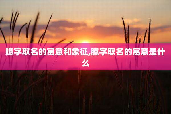 臆字取名的寓意和象征,臆字取名的寓意是什么