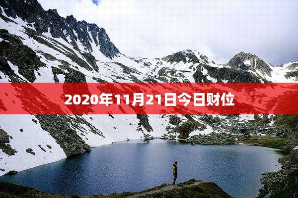 2020年11月21日今日财位