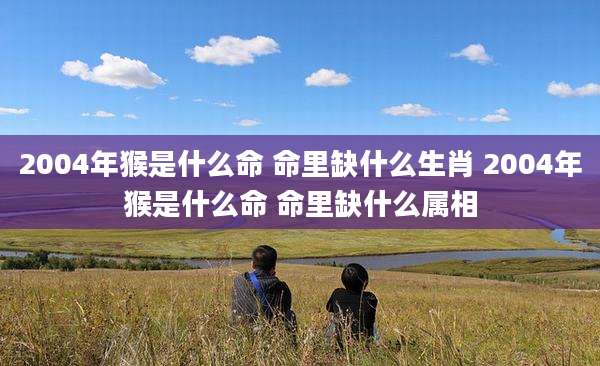 2004年猴是什么命 命里缺什么生肖 2004年猴是什么命 命里缺什么属相