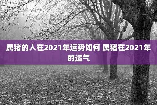 属猪的人在2021年运势如何 属猪在2021年的运气