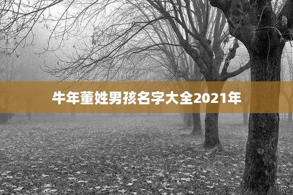 牛年董姓男孩名字大全2021年