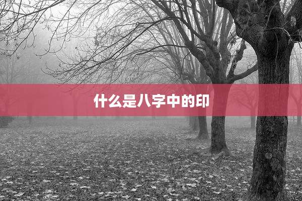 什么是八字中的印
