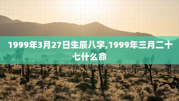 1999年3月27日生辰八字,1999年三月二十七什么命