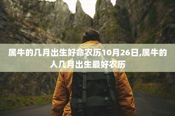 属牛的几月出生好命农历10月26日,属牛的人几月出生最好农历