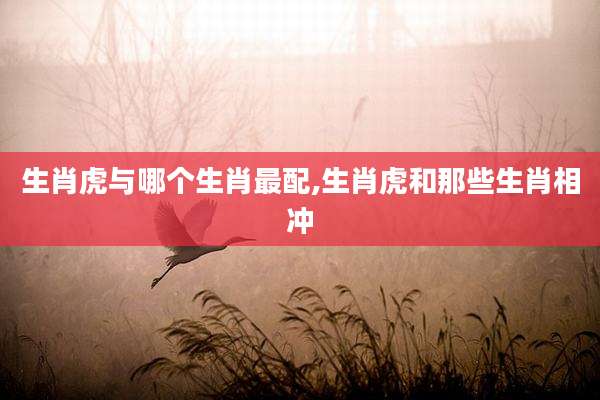 生肖虎与哪个生肖最配,生肖虎和那些生肖相冲