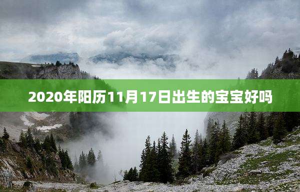 2020年阳历11月17日出生的宝宝好吗