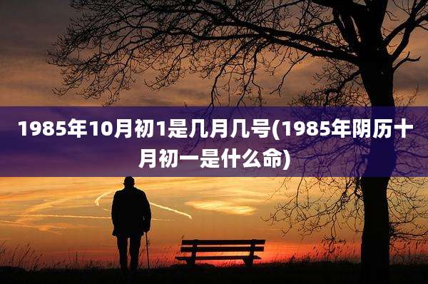 1985年10月初1是几月几号(1985年阴历十月初一是什么命)