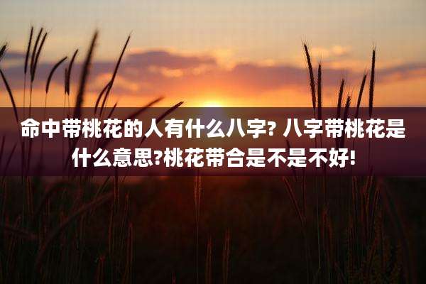 命中带桃花的人有什么八字? 八字带桃花是什么意思?桃花带合是不是不好!