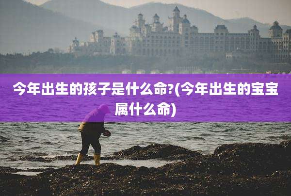 今年出生的孩子是什么命?(今年出生的宝宝属什么命)