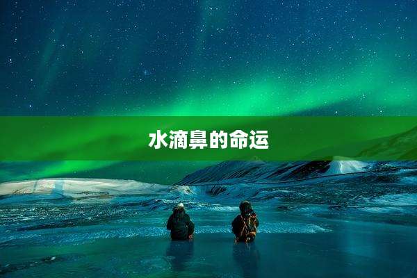 水滴鼻的命运
