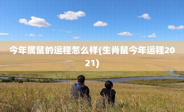 今年属鼠的运程怎么样(生肖鼠今年运程2021)