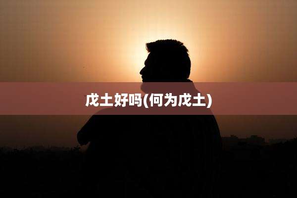 戊土好吗(何为戊土)