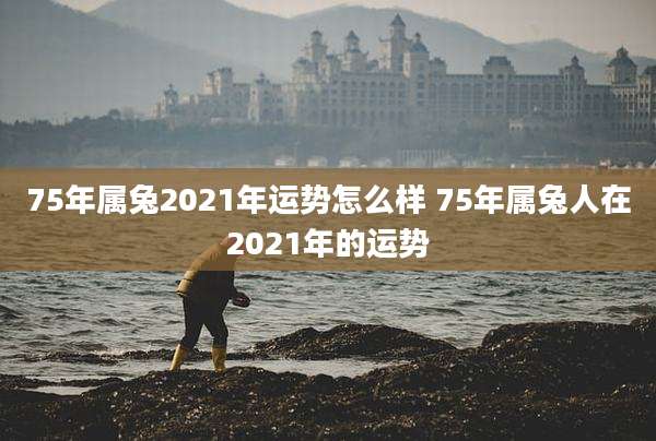 75年属兔2021年运势怎么样 75年属兔人在2021年的运势