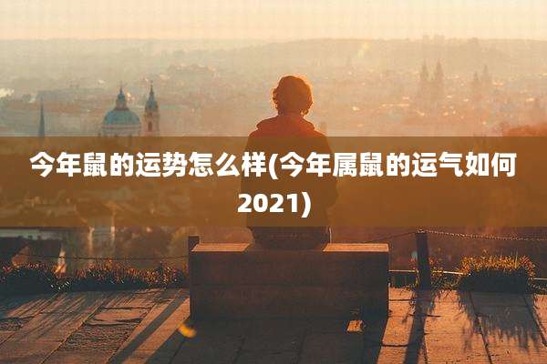 今年鼠的运势怎么样(今年属鼠的运气如何2021)