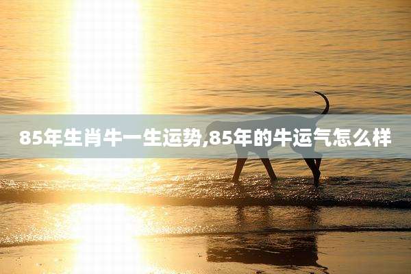 85年生肖牛一生运势,85年的牛运气怎么样