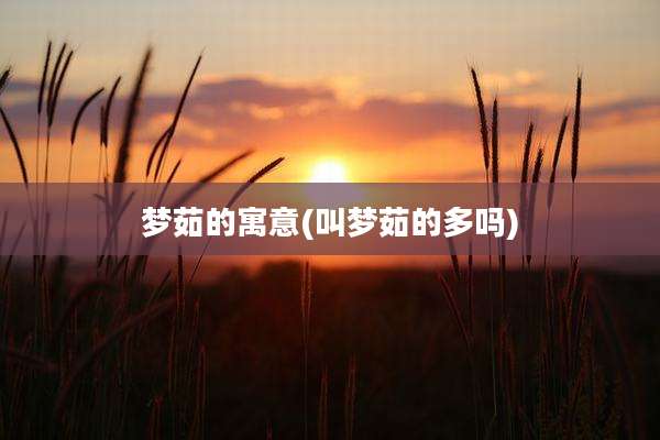 梦茹的寓意(叫梦茹的多吗)