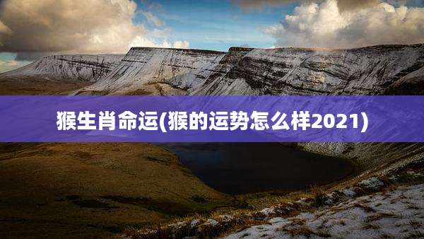 猴生肖命运(猴的运势怎么样2021)