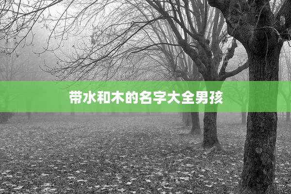 带水和木的名字大全男孩