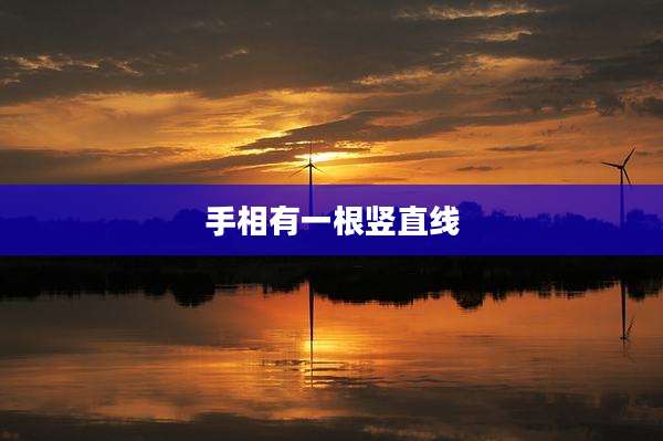 手相有一根竖直线