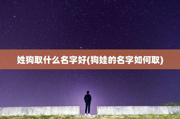 姓狗取什么名字好(狗娃的名字如何取)