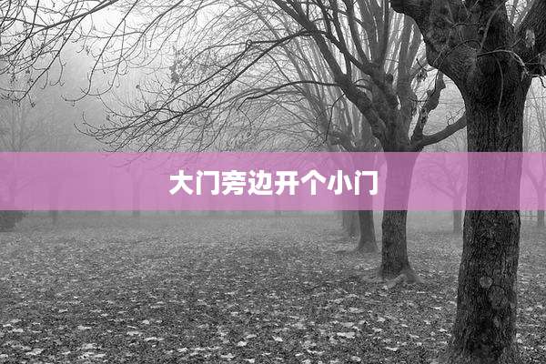 大门旁边开个小门