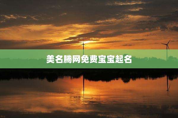 美名腾网免费宝宝起名