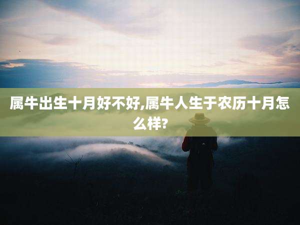 属牛出生十月好不好,属牛人生于农历十月怎么样?