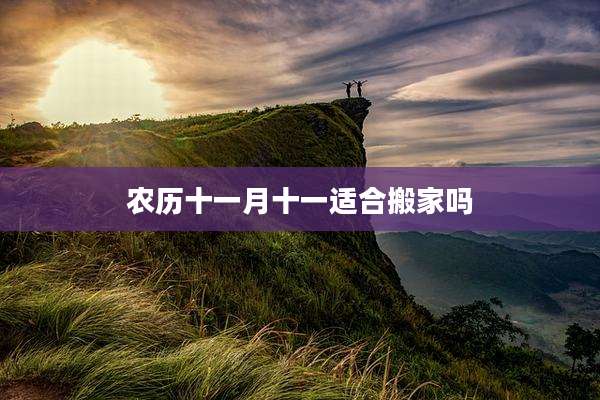 农历十一月十一适合搬家吗
