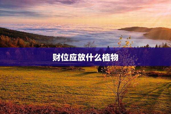 财位应放什么植物