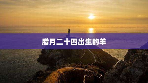 腊月二十四出生的羊