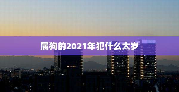 属狗的2021年犯什么太岁