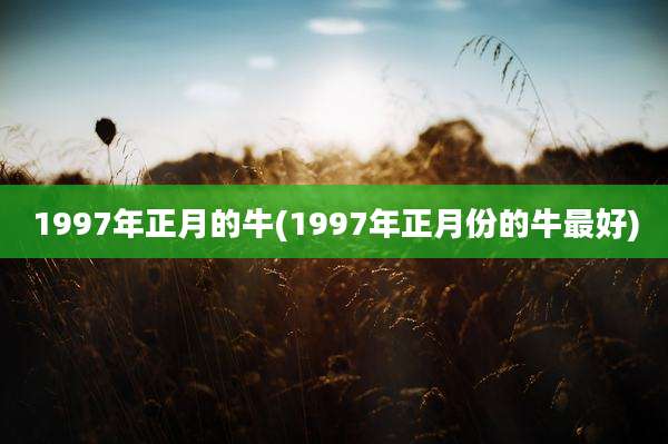 1997年正月的牛(1997年正月份的牛最好)