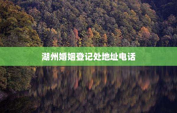 湖州婚姻登记处地址电话