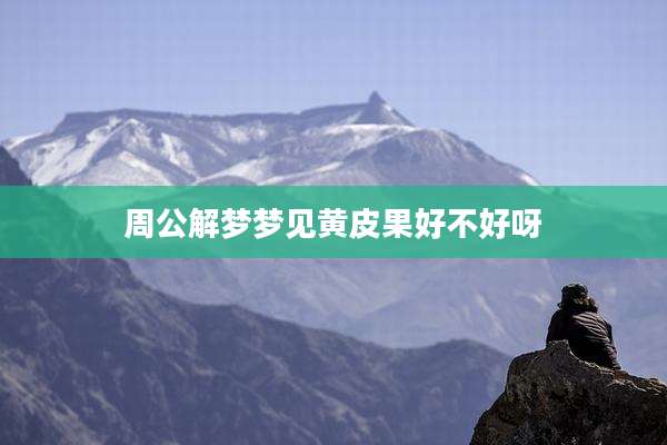 周公解梦梦见黄皮果好不好呀