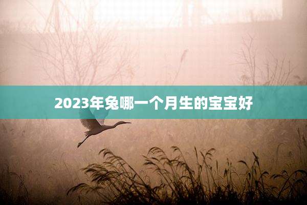 2023年兔哪一个月生的宝宝好