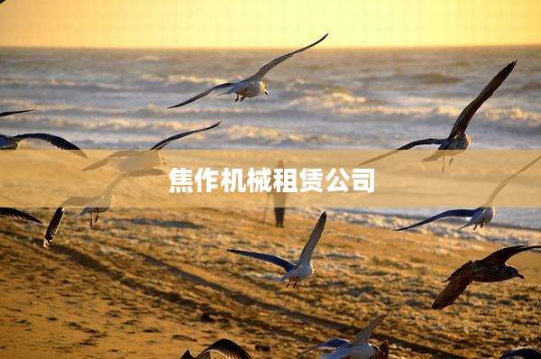 焦作机械租赁公司