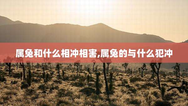 属兔和什么相冲相害,属兔的与什么犯冲
