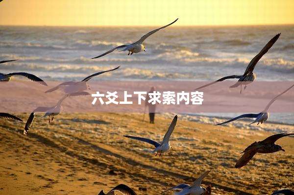 六爻上下求索内容