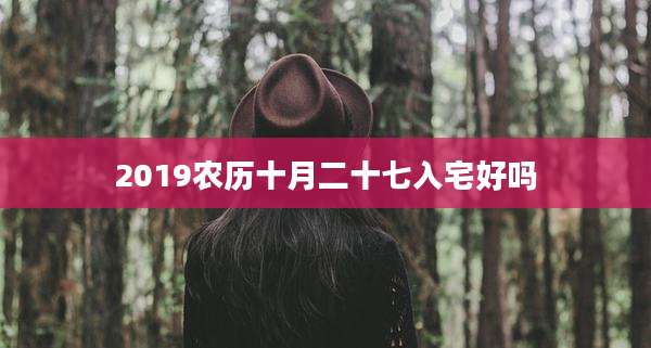 2019农历十月二十七入宅好吗