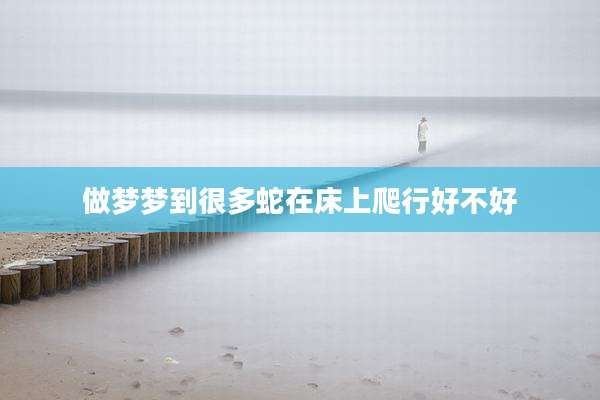 做梦梦到很多蛇在床上爬行好不好