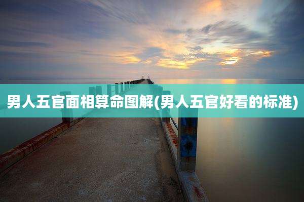 男人五官面相算命图解(男人五官好看的标准)