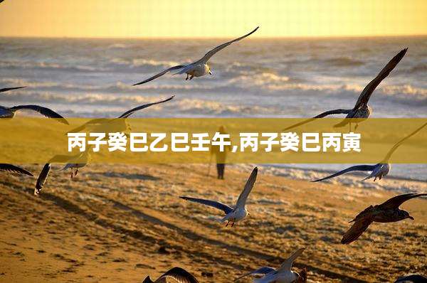 丙子癸巳乙巳壬午,丙子癸巳丙寅