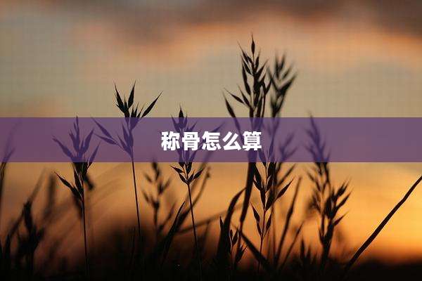 称骨怎么算