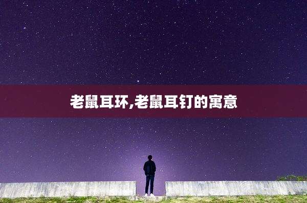 老鼠耳环,老鼠耳钉的寓意